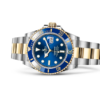 Rolex Submariner Date Oyster, 41 mm, Oystersteel m126613lb-0002